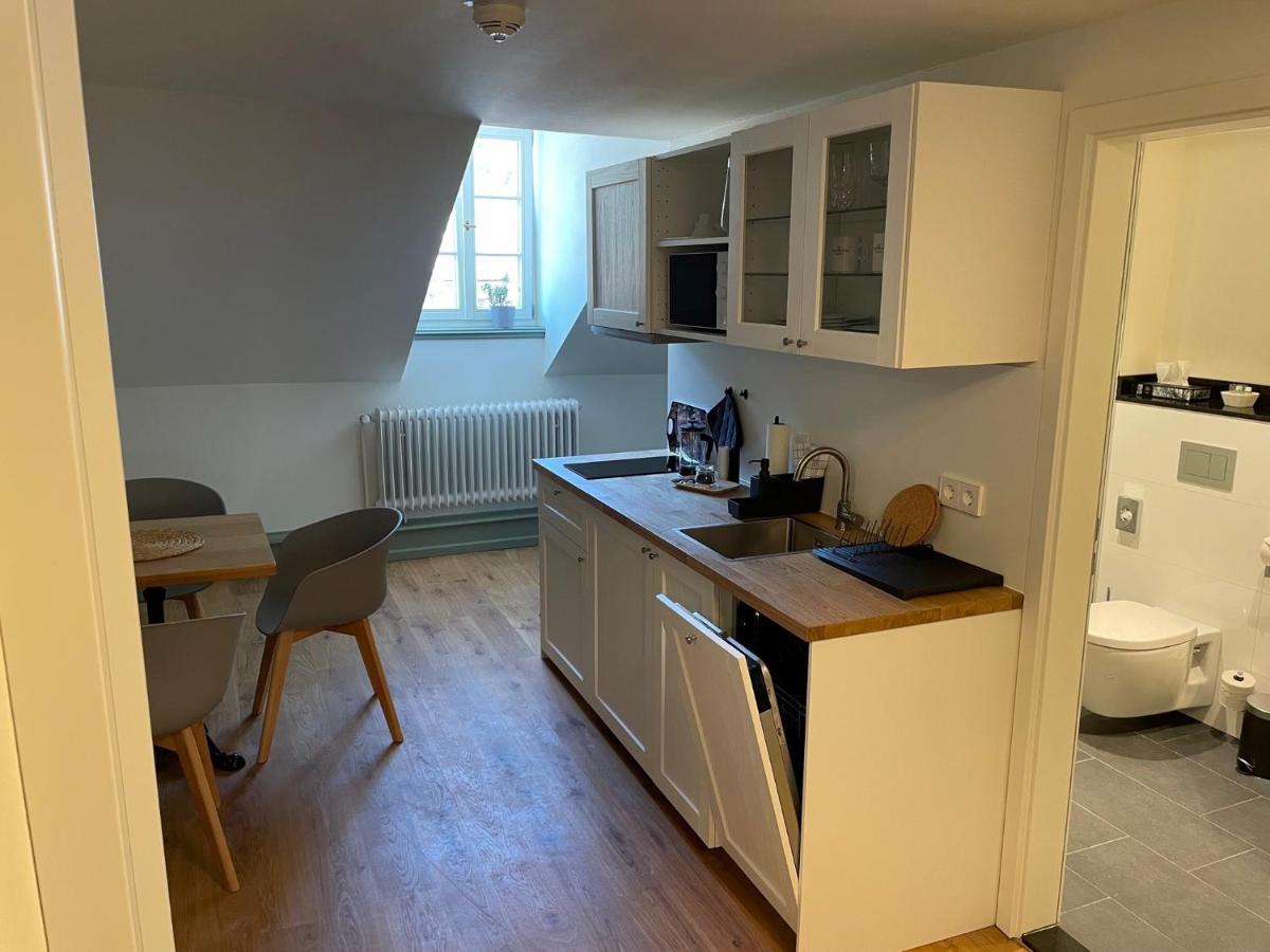 Palmbraeu Altstadt Appartments Heidelberg Ngoại thất bức ảnh