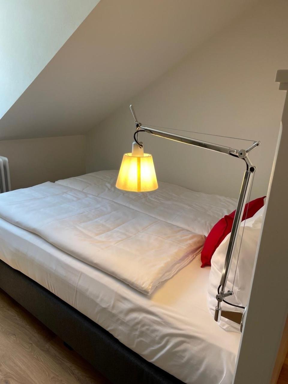 Palmbraeu Altstadt Appartments Heidelberg Ngoại thất bức ảnh